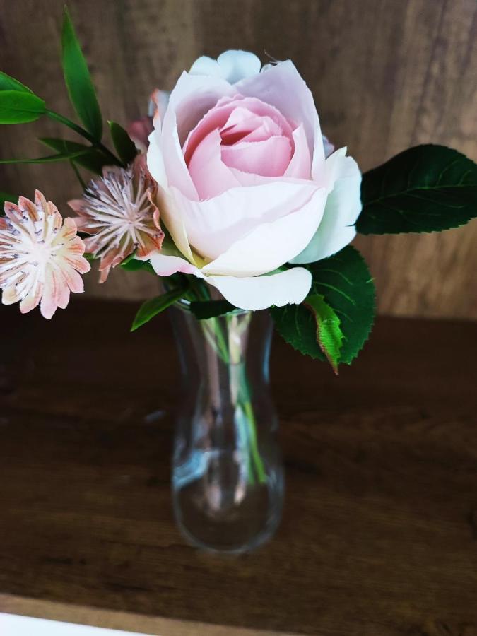 White Rose Studio Basement Διαμέρισμα Βουδαπέστη Εξωτερικό φωτογραφία